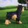 Garden figure "Puppy Terrier" 13x24x28cm