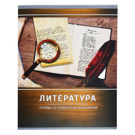 Substantial notebook Calligrata "Metal", 48 sheets in the line of literature, with reference material, cover coated cardboard, block No. 2, whiteness 75% (gray sheets)-4