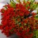 Artificial plant for creativity plastic "Fiery tree" 9 cm