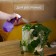 Spray gun, 0.35 l, color mix, Greengo