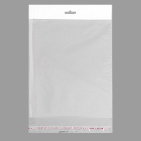BOPP package with an adhesive valve, transparent 16 x 18/4 cm, euros, 25 μm