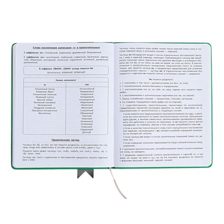Universal diary for grades 1-11 Lenta, solid cover of artificial leather, applique, silkography, liesse, 48 sheets, green-11