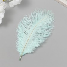 Decorative ostrich pen 