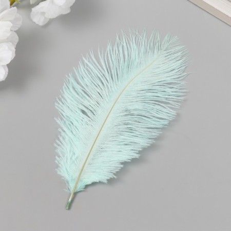 Decorative ostrich pen "Mint-green" h = 15-20 cm