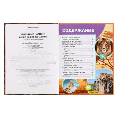 Encyclopedia "Big Cats. Africa wild animals ", 48 pages-3