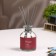 Diffusor aromatic Hygge #22 Persian and Pion 100 ml
