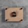 Carty clock is wall, series: city, "Lastochkino Nest", smooth move, 20 x 26 cm