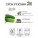 Seeds of cucumber "Nezhinsky", 0.5 g