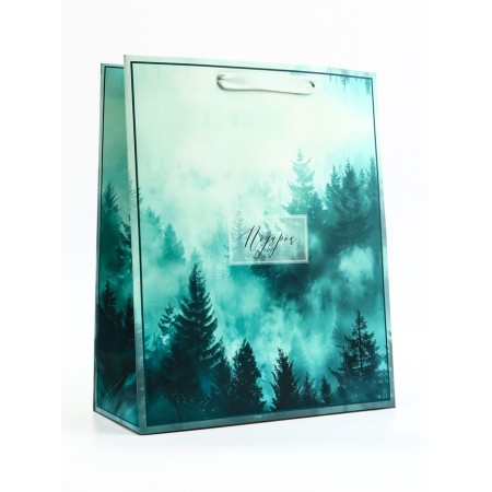 Package Gift Vertical "Gift", 26 × 32 × 12 cm-1