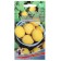 Melon "Orange", 10 pcs