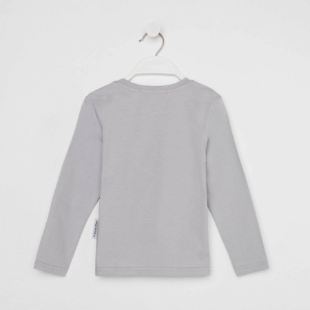 Disney jumper "Cars", height 110-116 (32), gray-3