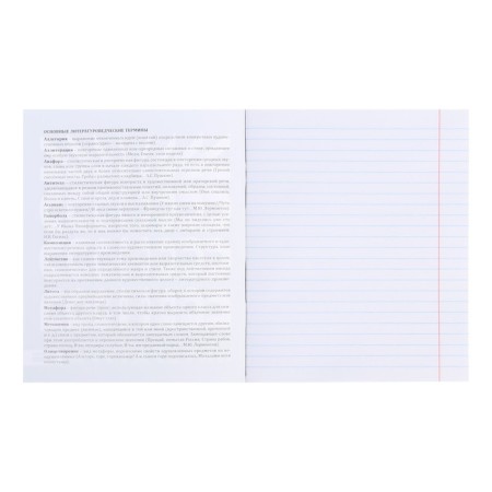 A notebook 48 sheets in the Error line "Literature", cover coated paper, OFSET block-1