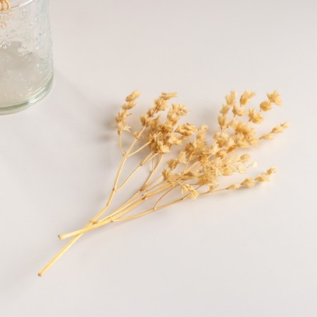 Set of dried flowers "chandra", banch length 40 (+/- 6 cm), bleached-3