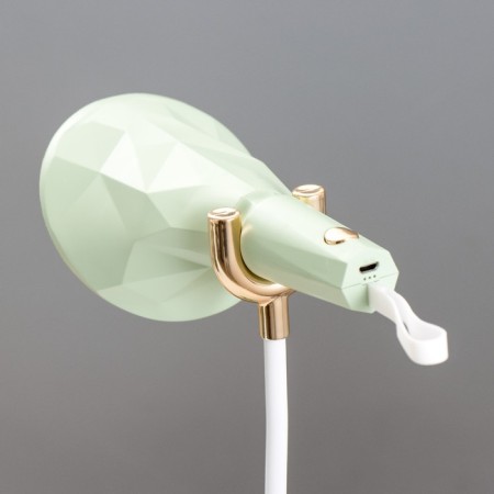 Delser table lamp LED 3W USB AKB Green 14x13x39 cm Risalux-8