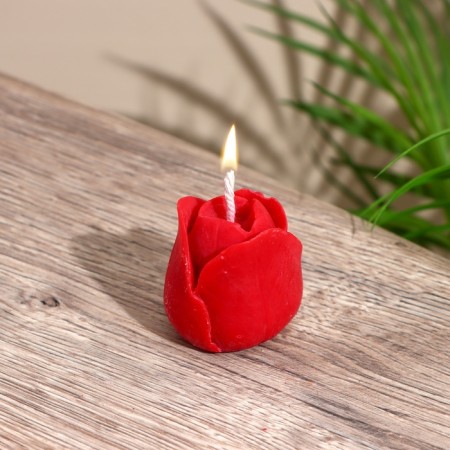 Candle "Tulip" 4x4x4 cm, soy wax-1