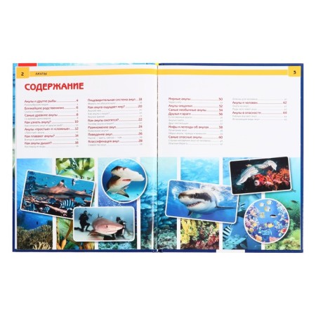 Encyclopedia with developing tasks "Sharks"-3