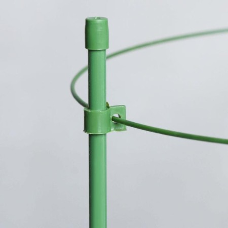 Кустодержатель, 3 кольца, d=18,5-20-22 см, h=60 см, металл, зелёный-1