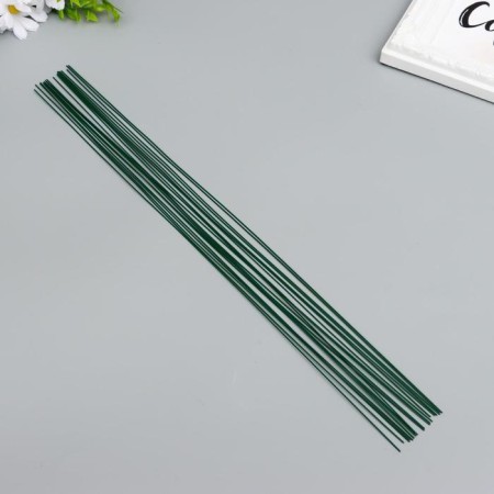 Wire for creativity varnished "Blumentag" 0.95 mm, 20 pcs, 40 cm, green