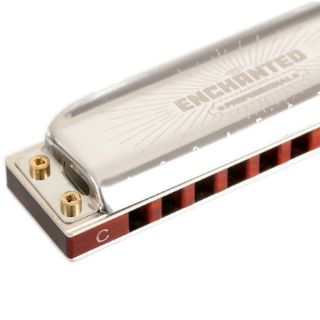 Harmonic harmonica Easttop, Pro30 G, diatonic-2