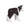 Figure Konik "Board-Colli"