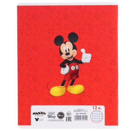 Notebook in a cage 12 sheets, 5 types of mix, cover coated paper, Mickey Mouse-12