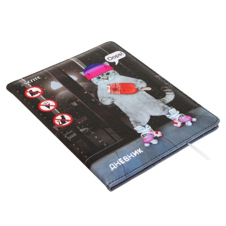 Universal Diary of OOPS 1-11 grade!, Hard cover with foam rubber, artificial leather, lies, block 80 g/m2-1