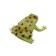 An animal figure “Frog. Long tongue ”, sound effects, 15 cm.