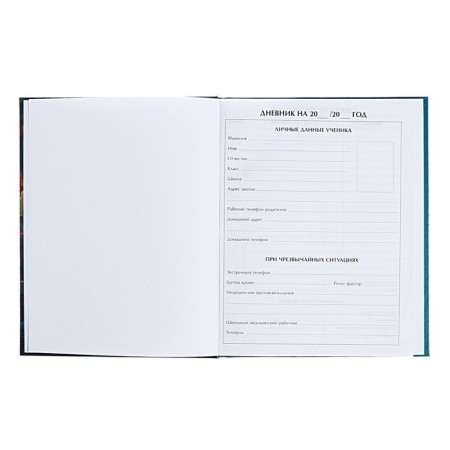 Diary for grades 5-11 anime. Girl, hard cover, glossy lamination, 48 sheets-3