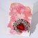 Brooch "Empress" crescent, white-red color in silver