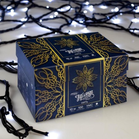 Garland “thread” 10 m, IP44, UMS, dark thread, 100 LED, white glow, 220 V-2