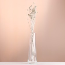 A set of dried flowers 