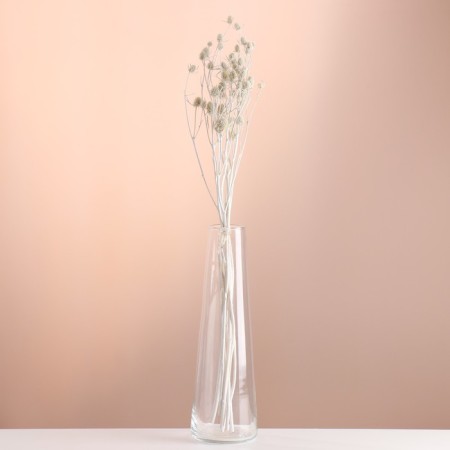 A set of dried flowers "Eringium", ban 5 pcs, length 50 (+/- 6 cm), white