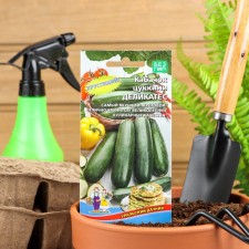 Semen zucchini 