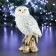 New Year's figure "Owl on the snag" silver 9x12x19cm