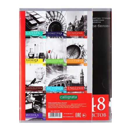 A set of subject notebooks of 48 sheets, "black-white", 10 items with reference material, covered paper cover, block No. 2, whiteness 75% (gray sheets)-22