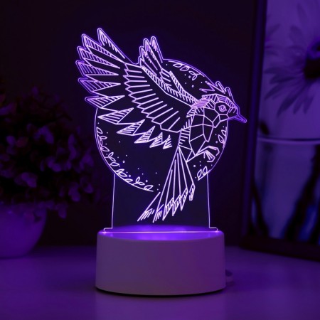 Light "Bird" Led RGB from the network 13.5x9.5x16.9 cm Risalux-5