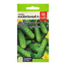Seeds of cucumber 