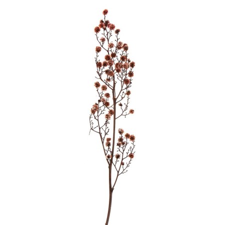 Dry flowers “Molchy Mile”, 25 g, length - 70 cm, pink color-2