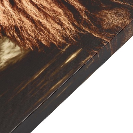Khlest picture on the subframe "Fury" 50x70 cm-1