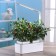 Hydroponic installation with phytolamps, Hobbyfarm mini