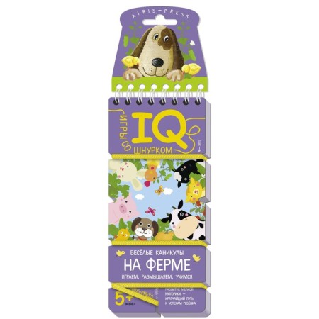 Package. From Santa Claus. 5-6 years. Basic set IQ-game-7