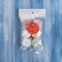 Set of balls plastic D-4 cm, 6 pcs "Color Sprinking"