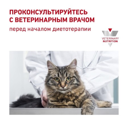 Dry food RC Renal RF 23 FELINE for cats with renal failure, 2 kg-6