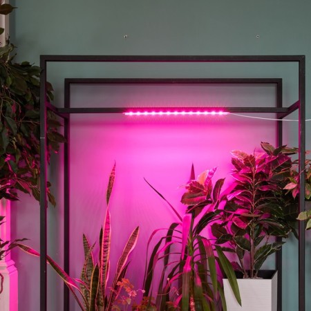 Lamp for plants LED linear, 540 mm Uniel, 10 W, LED, IP65, Color transparent-6