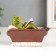 Souvenir Polystone Lak "Frog rest in a chair with a newspaper/circle" MIX 10.5x14x6 cm