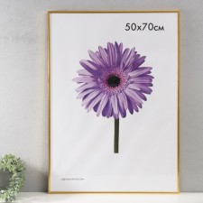 Photo frame plastic LIDA 50x70 cm gold (plastic screen)