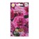 Flowers of Petunia "Lizette", 10 pcs