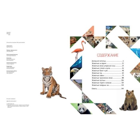 Encyclopedia. The colorful world of animals-7