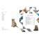 Encyclopedia. The colorful world of animals