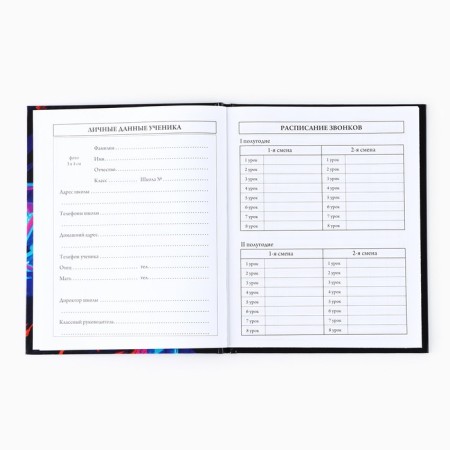 School diary for grade 1-11, in a solid cover, 40 l. "Anime. Guy"-2